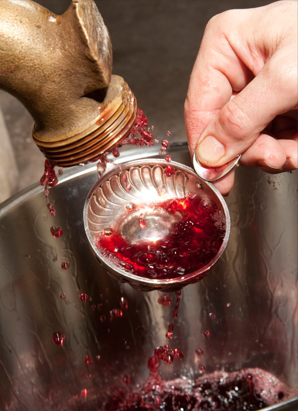 Vin rouge versé du robinet d’une cuve dans un tâte-vin
